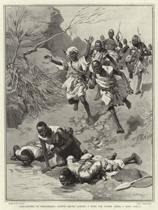 Campagne in Somaliland, inheemse troepen haasten zich naar water na een lange mars